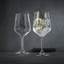 NACHTMANN Tattoo Wine/Spritz Glass - botanical black in use