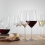SPIEGELAU Hybrid Red Wine Glass in use