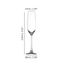 SPIEGELAU Salute Champagne Glass 