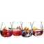 RIEDEL Contemporary Set da gin 