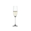 SPIEGELAU Salute Champagne Glass 