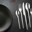 NACHTMANN Masterpiece Cutlery - 30 pieces 