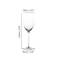 SPIEGELAU Hi-Lite Champagne Glass 