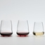 RIEDEL SL Wings To Fly Pinot Noir/Nebbiolo in the group
