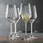NACHTMANN Masterpiece Champagne Glass - optical 
