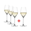 SPIEGELAU Hi-Lite Champagne Glass 