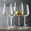 NACHTMANN Masterpiece White Wine Glass - optical in use