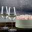 RIEDEL Vinum Champagne Wine Glass in use