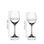 SPIEGELAU Vino Grande Bundle Red and White Wine Glasses 