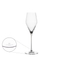 SPIEGELAU Definition Champagnerglas 