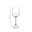 GRAPE@RIEDEL White Wine/Champagne Glass/Spritz Drinks 