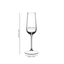 GRAPE@RIEDEL Champagne Flute 