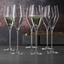 SPIEGELAU Definition Champagnerglas im Einsatz