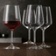 SPIEGELAU Style Red Wine Glass in use