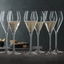 SPIEGELAU Special Glasses Champagne Sparkling Party - 230 ml 