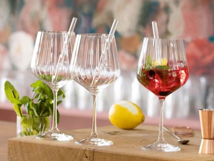 NACHTMANN Gin-&-Tonic-Gläser mit Glasstrohhalmen
