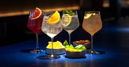 Group of 4 Nachtmann Gin & Tonic Glasses