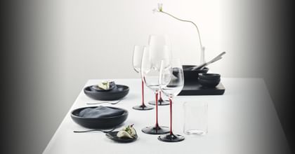RIEDEL Sommeliers Black Series on a table setting