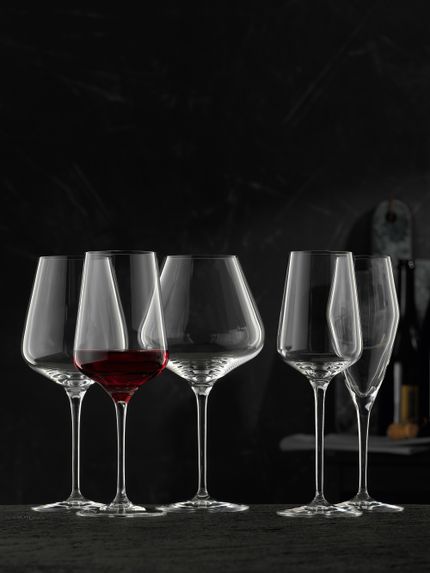 The NACHTMANN Vinova crystal glass series with the with red wine filled red wine glass and the empty Bordeaux glass, Burgundy glass, White Wine Glass and Champagne glass.<br/>