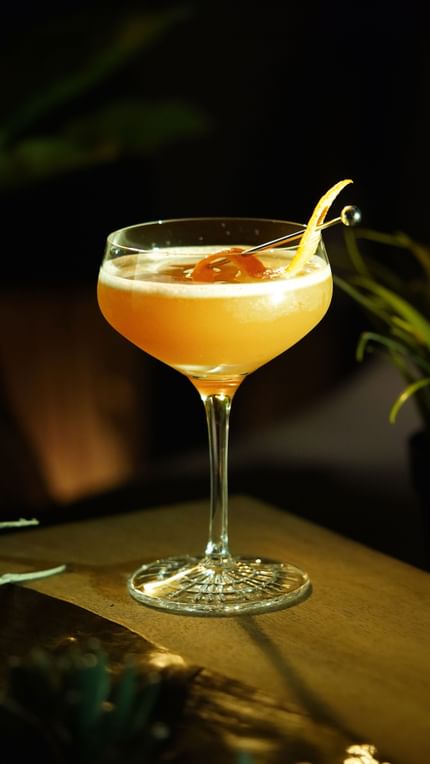 SPIEGELAU Perfect Serve Coupette – Bronx Cocktail in Style