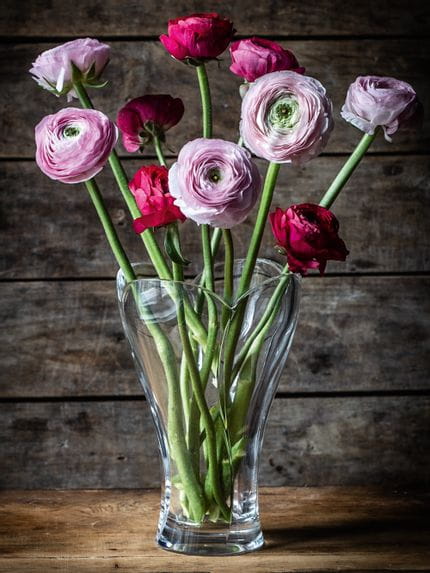 The crystal vase NACHTMANN Calypso, filled with pink ranunculus and red roses on a wooden sideboard.<br/>
