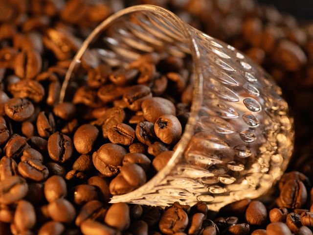 NACHTMANN Kaffeeglas der Serie Ethno Barista, in Kaffeebohnen liegend
