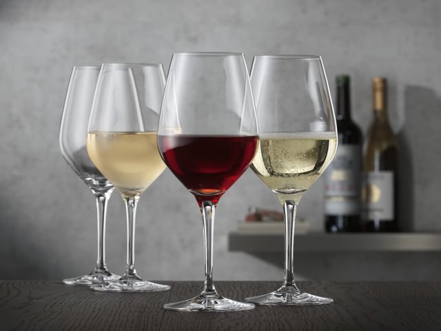 SPIEGELAU Authentis Universal Glass – The All-Rounder for Wine Professionals