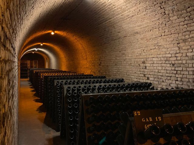 Wine Cellar filled with wines.
